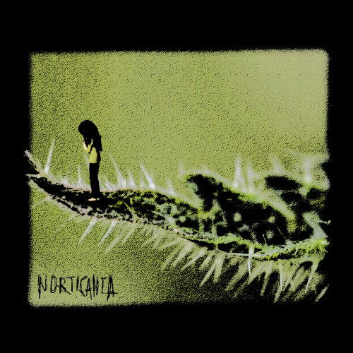 Norticanta - Norticanta